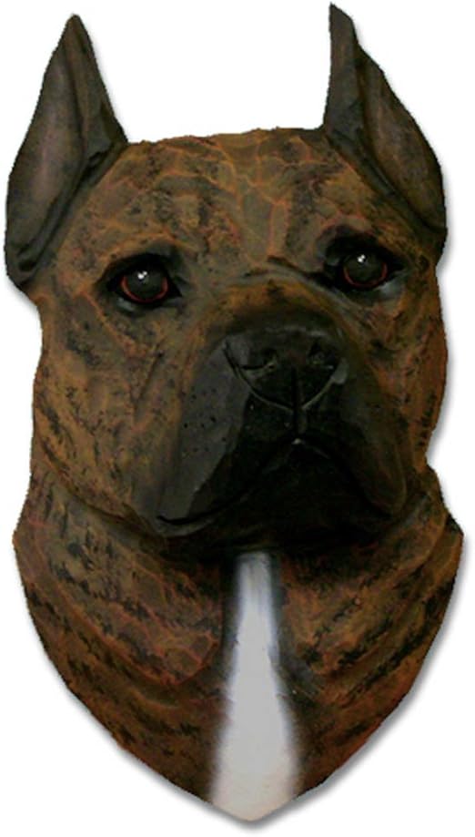american staffordshire terrier brindle