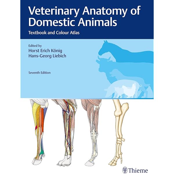 Photographic Atlas of Anatomy: 9781975151560: Medicine & Health