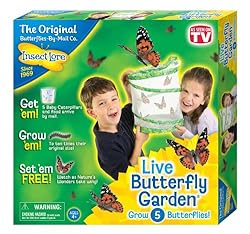 Best Educational Toys For 7 Year Old Boys 2014 61YPyeWD0kL.jpg. SL250