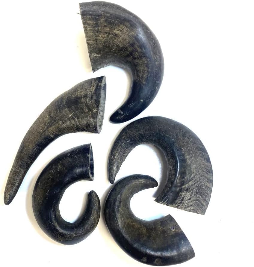 Small Buffalo Horns x 3 Natural Dog Treats Chews DCP