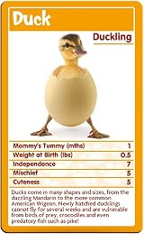 Top Trumps Baby Animals Card Game view 3