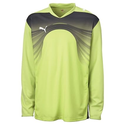 puma torwarttrikot set