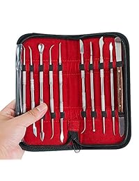 Lolicute - Herramientas de tallado de cera, juego de herramientas de tallado dental, equipo de laboratorio odontológico, de acero inoxidable, 10 unidades