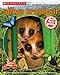 Scholastic Explora Tu Mundo: La selva tropical: (Spanish language edition of Scholastic Discover More: Rainforests) (Spanish Edition)