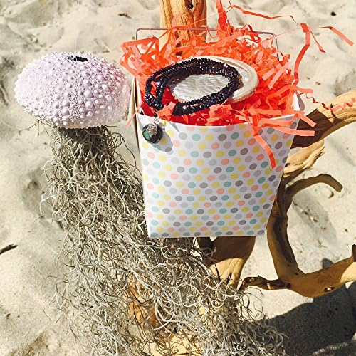 Succulent Jewelry Box: "Jellyfish" Sea Urchin Shell Air Plant &amp; Ocean Beauty Wrap Bracelet with Abalone &amp; Beach Flower Charms embellished Midnight Dark Crystal