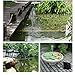 Ankway Solar Fountain Water Pump Kit 2W 3M/9.8ft Wire Length Solar Power Water Pump, 2 pack