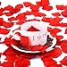 eBoot 1000 Pieces Silk Rose Petals Wedding Party Flower Favors (Red)