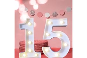LOVELITE 8.8" Decorative LED Light Up Numbers, Marquee Numbers Lights for 15th Birthday Decorations, Lighted Number Sign for Birthday Party Night Lights Wedding Anniversary Home Wall Decor, White Number 15