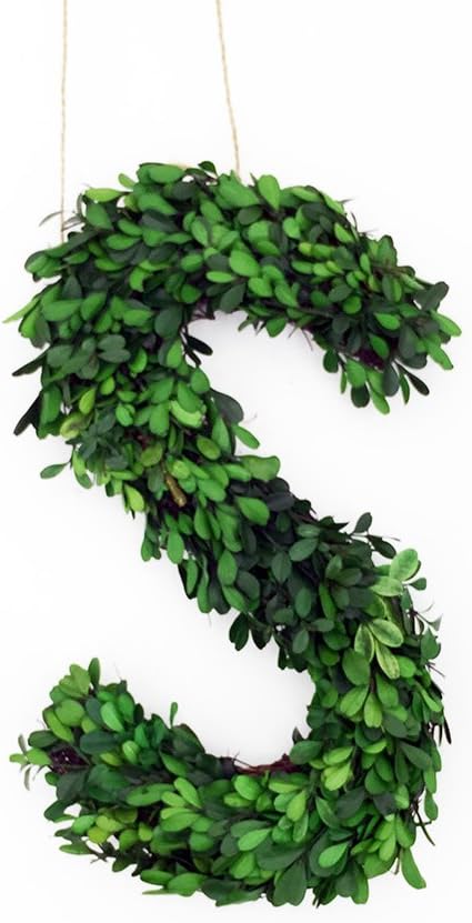 Amazon Com Modern Home Boxwoodletters S 12 Green S Home Kitchen