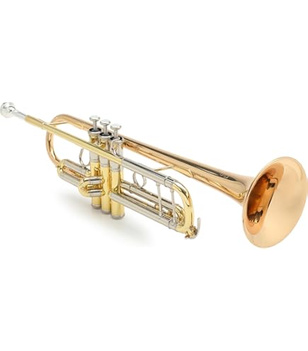 Amazon.com: Yamaha YTR-4335GII Intermediate Bb Trumpet - Gold