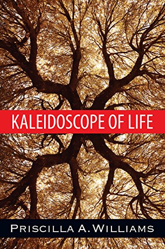 Kaleidoscope of Life by Priscilla A. Williams