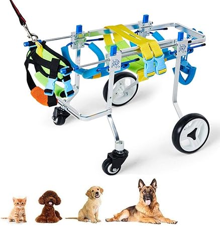 toy dog on wheels walker