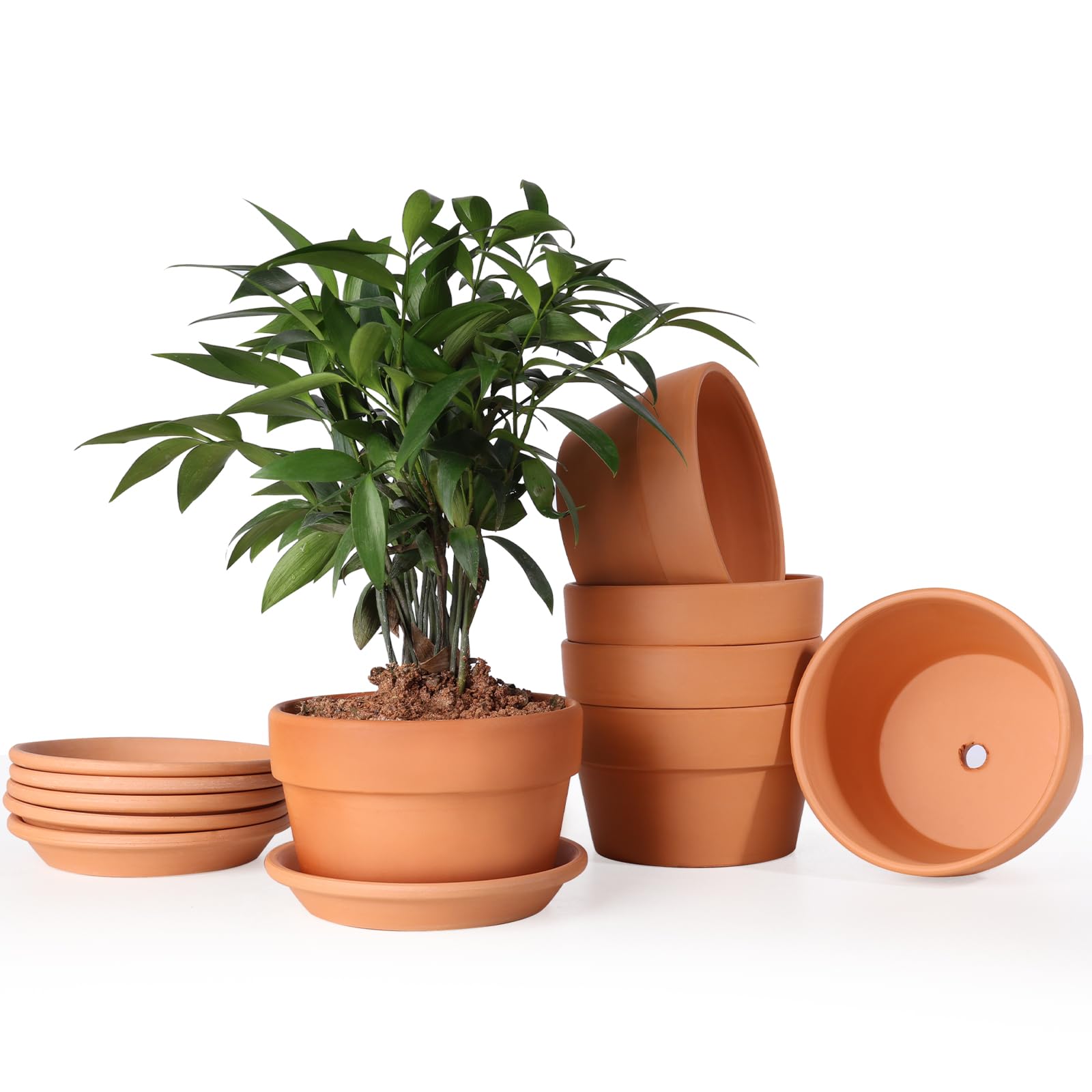 Photo 1 of INGOFIN 5 Inch Terracotta Shallow Pots Set with Saucer - Ceramic Clay Pots with Drainage Hole, Terra Cotta for Plants for Indoor Outdoor Plants, Set of 6