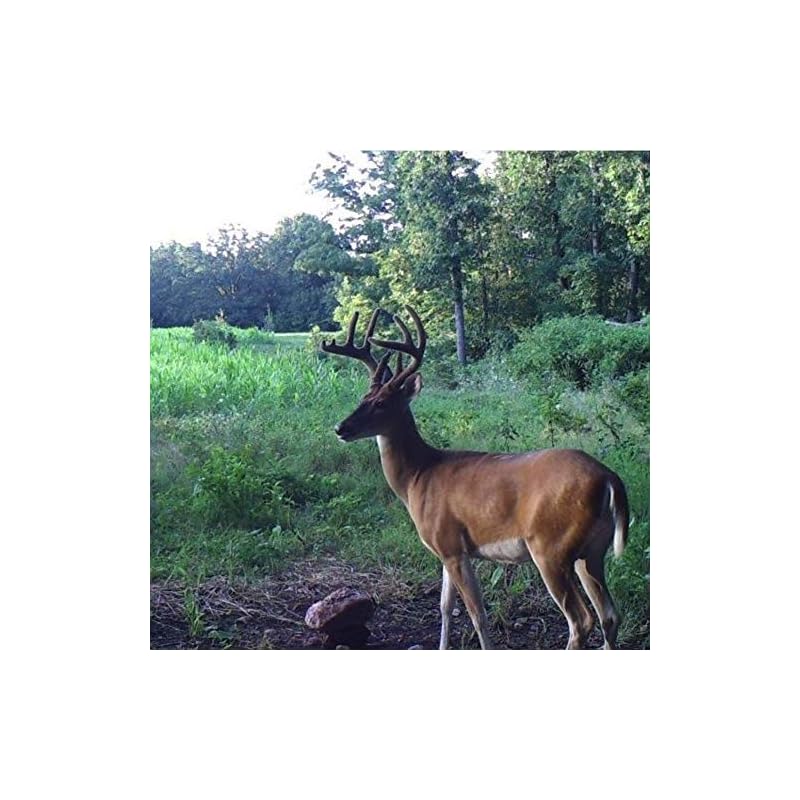 TROPHY ROCK Redmond All Natural Mineral Salt Rock, Deer Lick and Attractant (10 LB) My Gems