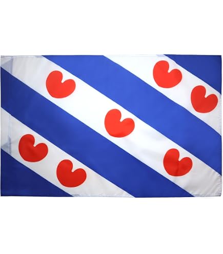 AZ FLAG Provincie Limburg Vlag – 3x5 Ft – 100% Polyester – Met Ophanglus – Kleurecht