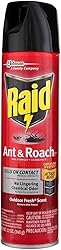 Raid Ant and Roach Kills on Contact No Lingering