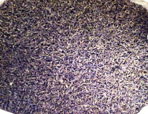 BlossomNatural Dried Lavender for Crafts/Wedding Confetti/Fragrance (50 Grams)