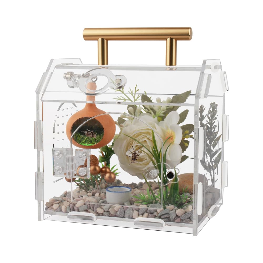 Photo 1 of Jumping Spider Enclosure,Premium Acrylic Spider Enclosure - Ideal for Tarantulas, Reptiles, and Insects - Easy Assembly & Feeding - All-Round Transparent Terrarium