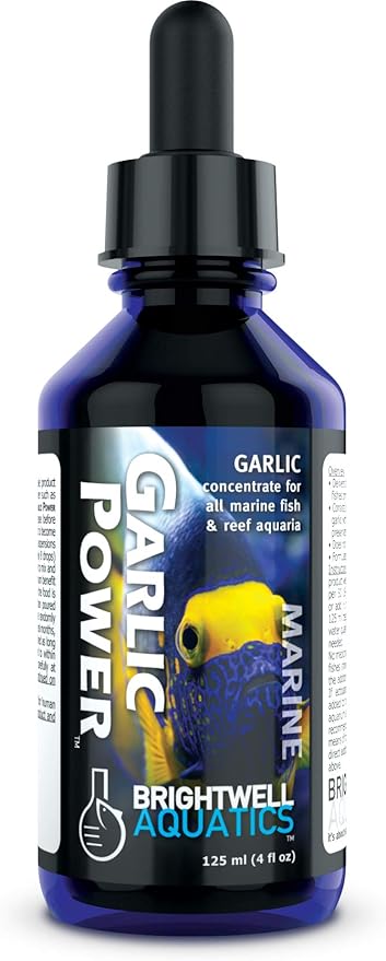 garlic in aquarium