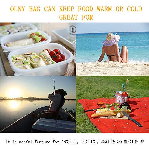 Starrysky Mini portable oven personal lunch containers Food Warmer Bag for Car, Business Travel, Camping, Truckers Portable Oven 12V Personal Crockpot Slow Cooker Microwave