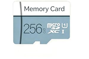 Micro Memory Card 256 GB with Adapter, C10/U3/UHS-I/A1 TransFlash Card, TF Card for Camera, Smartphone, Tablet, Drone(Light B