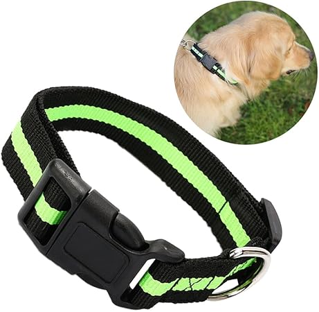 premium dog accessories