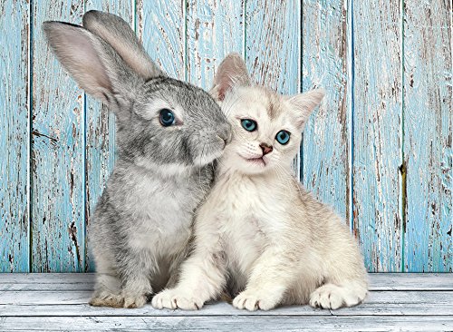 Clementoni Cat & Bunny 500 Piece Jigsaw Puzzle