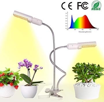 office plant grow light