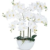 Ziwon Artificial Orchid Flowers & Plants Potted in Ceramic Pot, White Faux Phalaenopsis Orchids for Table Centerpiece, Realistic Fake Flower Arrangement for Home Office Decor Indoor