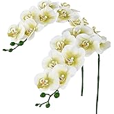 Sherika 38 Inch Orchid Artificial Flowers Real Touch Latex Fake Phalaenopsis Orchid Branches 9 Large Blooms, Faux Orchids Stems for Home Office Wedding Decoration(Green White, 2PCS)