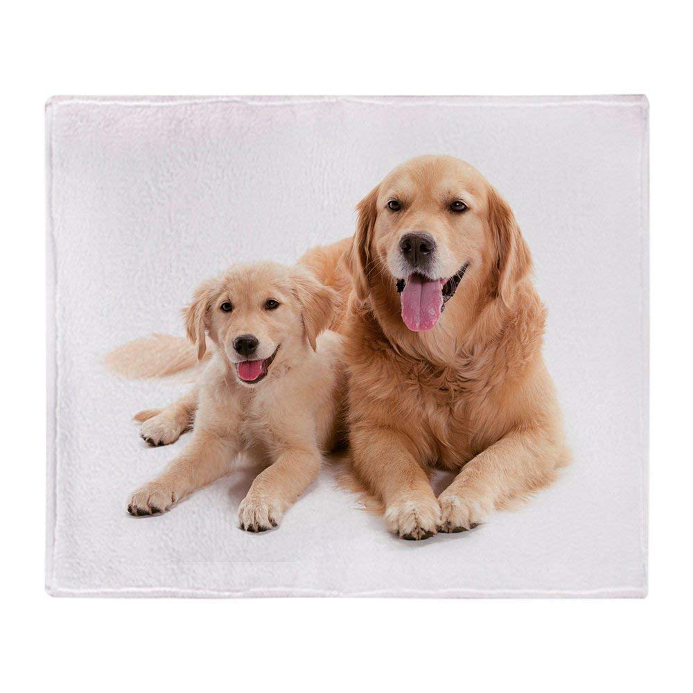YISUMEI - Soft Fleece Blanket - Golden Retriever Buddies, 150 x 200 cm Throw Suitable for Sofa or Bed