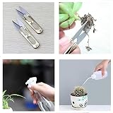 Holzsammlung 14Pcs Mini Garden Tools Set Bonsai & Succulent Kit view 8