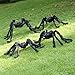 F FiGoal 4 Pack Halloween Giant Spider Spooky Hairy Spiders Halloween Indoor and Outdoor Yard Decoration Scary Creepy Black Spiders (Different Sizes up to 50'')