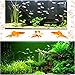 Hamiledyi 3 Pcs Natural Driftwood Branches Reptiles Aquarium Fish Tank Decoration, Largethumb 3