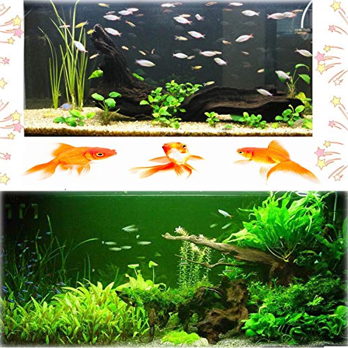 3 Hamiledyi+Driftwood+Branches+Reptiles+Decoration