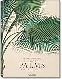 Martius: The Book of Palms (EXTRA LARGE) by 