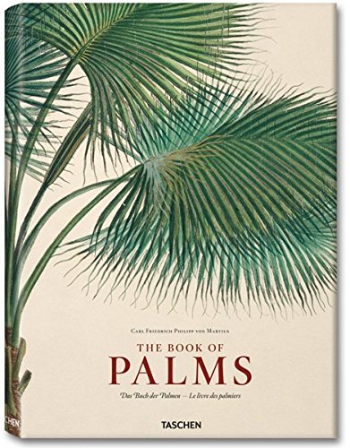 Martius: The Book of Palms (EXTRA LARGE) by H. Walter Lack