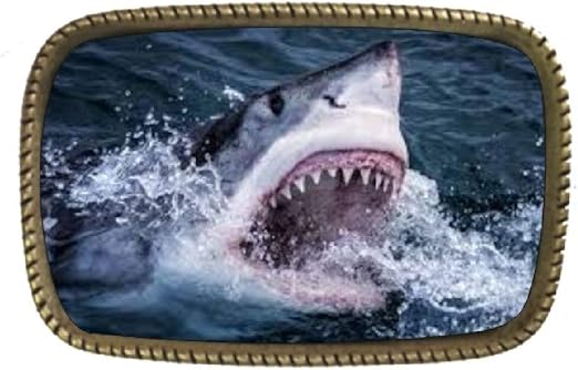 shark belt buckle