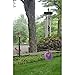 Woodstock Chimes Signature Collection, Precious Stones Chime, 12'' Amethyst Décor Designs - Small Chimes Wind Chimes for Outdoor, Patio, Home or Garden Décor (PSAM)