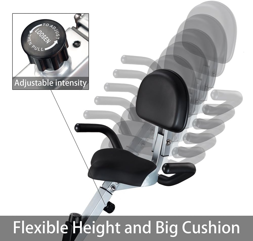 feierdun exercise bike