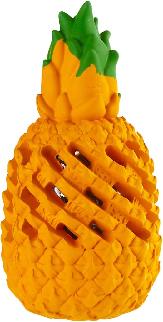 squeaky toys for pit bulls