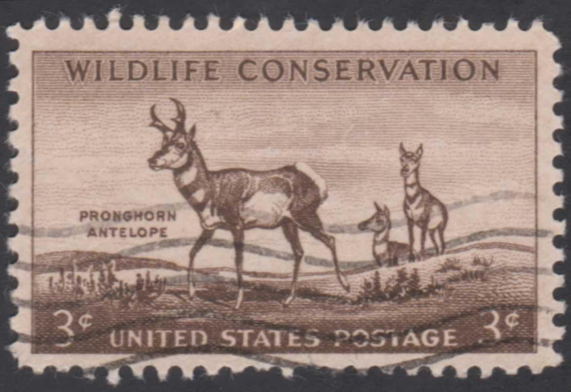 Single 1956 3 Cents US Postage Stamp, S1078, Wildlife