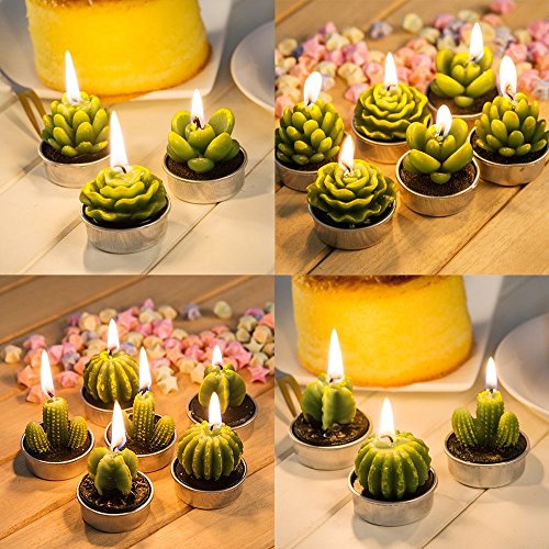 Cactus Tealight Candles, niceEshop(TM) 6pcs Creative Birthday Scented Candles Handmade Delicate Succulents Candles for Birthday/Party/Spa/Wedding/Home Decoration/Confession