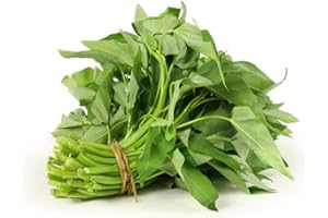 WIVOLIBE 600+ Kong Xin CAI Seeds for Planting - Ong Choy Seeds Non-GMO Heirloom Thai Leaf Green Vegetable Seeds for Microgreens & Outdoor Organic