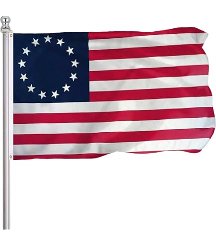 Amazon.com : DANF Singapore Flag 3x5 Foot Singaporean National