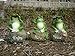 Garden Decor Statue Frogs Set of 3 Outdoor Patio Ornaments Yard Decorations Art Figurines for The Lawn Balcony Desk Best Gift