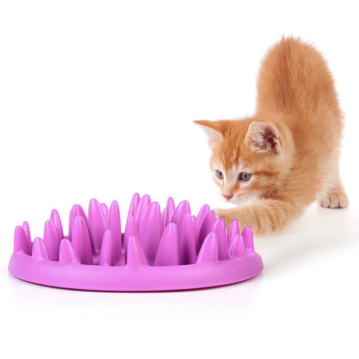 catch interactive cat feeder