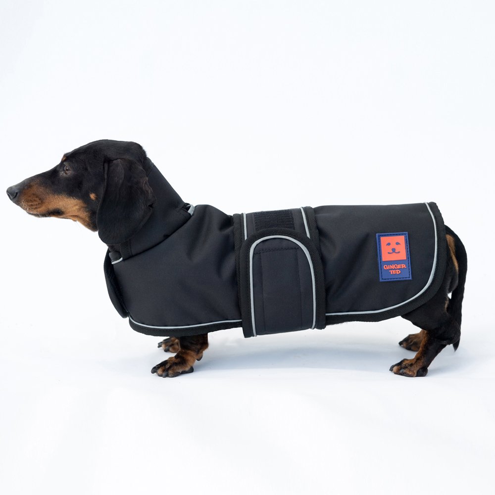 Ginger Ted Shower Waterproof Dachshund Dog Coat Small size 12inch