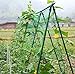Amgate Nylon Trellis Netting Plant Support for Climbing Plants, Vine Trellis Net, 2.95Ft 5.9Ft