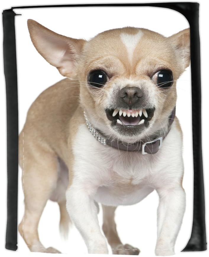 Small Faux Leather Wallet With Card Slot V Angry Chihuahua Growling Small Size Wallet Amazon Co Uk Luggage